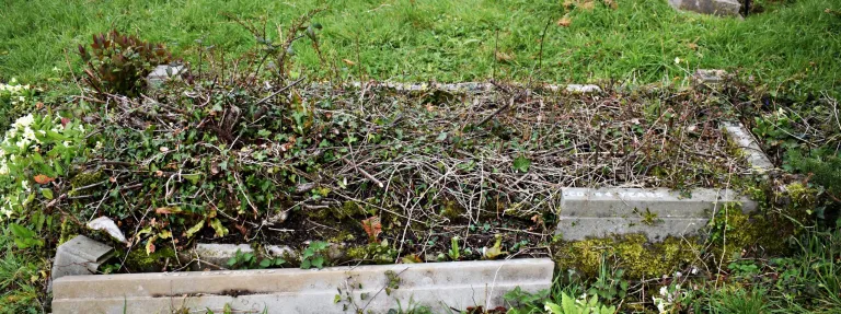 The grave of Thomas Gazard