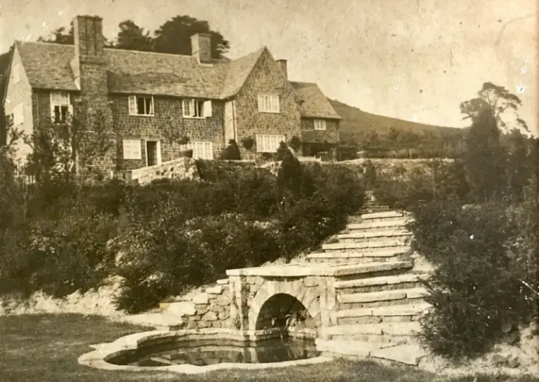 The steps leading down from the lawn to the pond