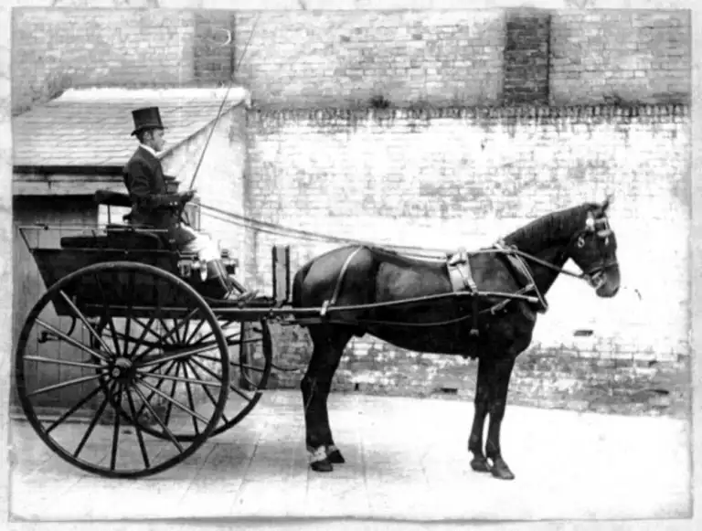 Thomas with his horse and cart