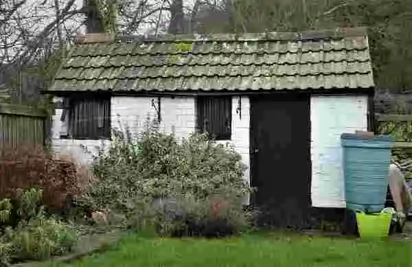 Weathered white garden shed with a mossy roof, two barred windows, a dark central door, and a light-blue side door, surrounded by shrubs and a green rain barrel.