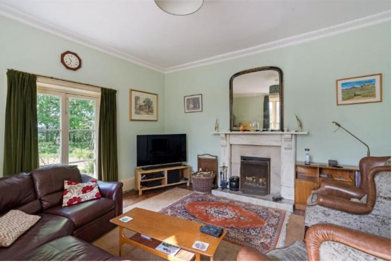 Living room with mint green walls, a marble fireplace with a large mirror, brown leather sofas, a TV on a stand, and a patterned rug.