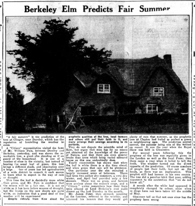 Newspaper photo of a thatched cottage with a large elm tree in front; headline reads 'Berkeley Elm Predicts Fair Summer'.