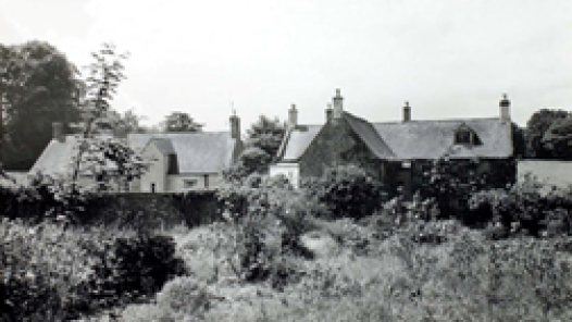Black-and-white photo of a row of cottages with chimneys, viewed through a garden-filled foreground of bushes and plants.