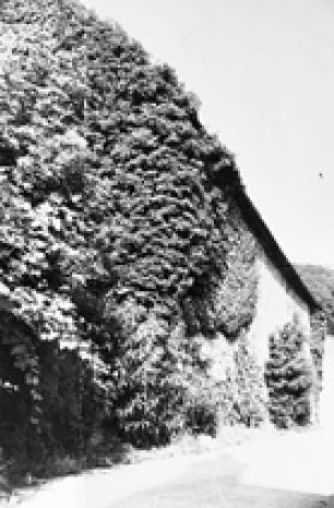 Black-and-white photo of a barn with dense ivy running along the walls