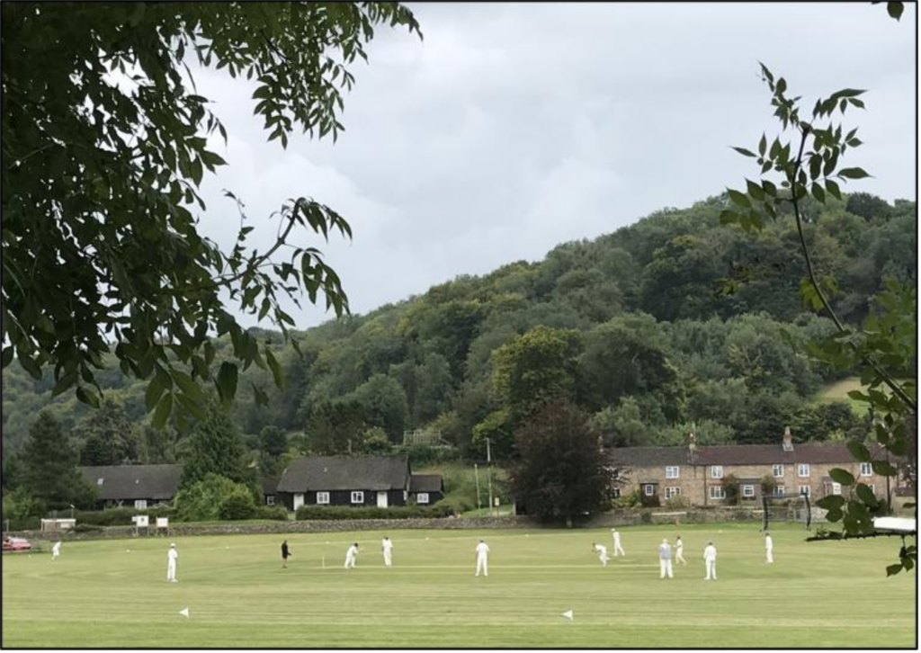 Cricket match on a green field with players in white, village houses, and forested hills in the background.